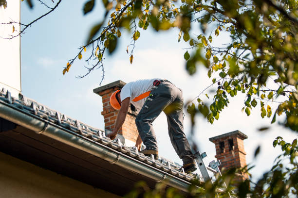 Best Roof Gutter Cleaning  in Green Forest, AR